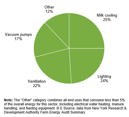 Business Energy Advisor